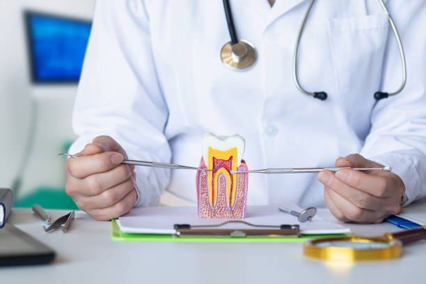 Best Emergency Wisdom Teeth Removal in Rendon, TX